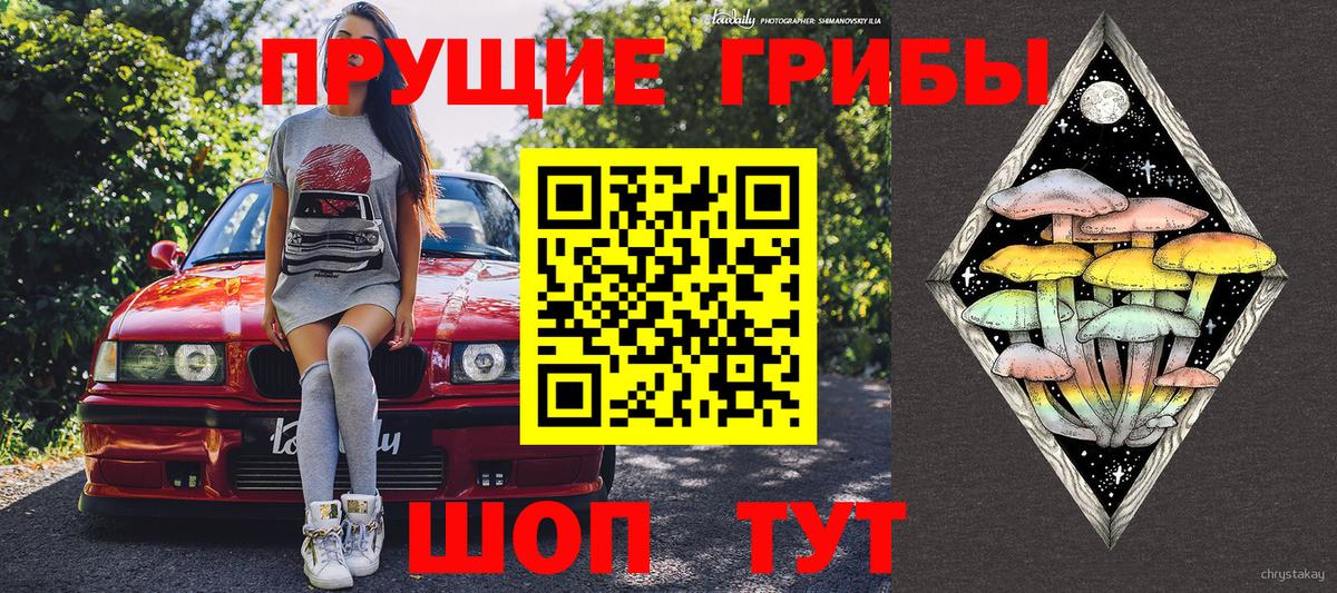 Рязань  Псилоцибиновые грибы MAGIC MUSHROOMS  Вход с VPN 